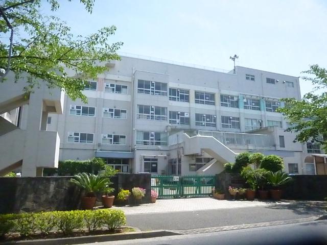 江戸川区立新堀小学校：177m