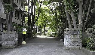 私立多摩美術大学造形表現学部：1179m