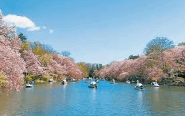 井の頭恩賜公園：1700m