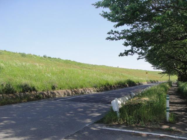 緑道：80m