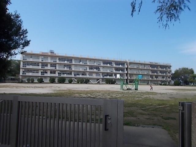 南高津小学校：600m