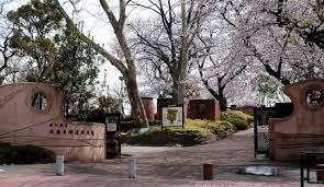大森貝塚遺跡庭園：961m
