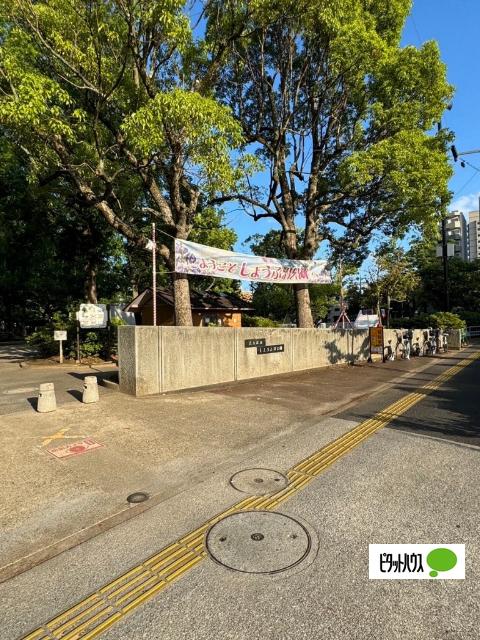 しょうぶ沼公園：185m