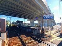 ザグザグ仏生山店さん：1100m