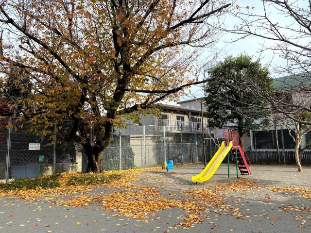桜新町北小緑地：200m