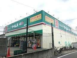 ドラッグセイムス高島平店：283m