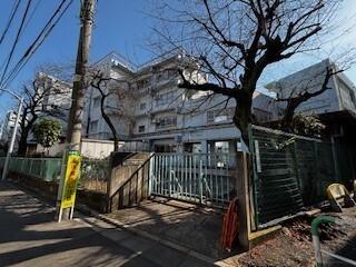 世田谷区立三軒茶屋小学校：123m