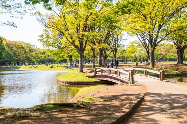 東京都立代々木公園：1743m
