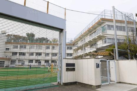 目黒区立八雲小学校：799m
