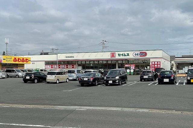 ドラッグセイムス　見沼風渡野店：700m