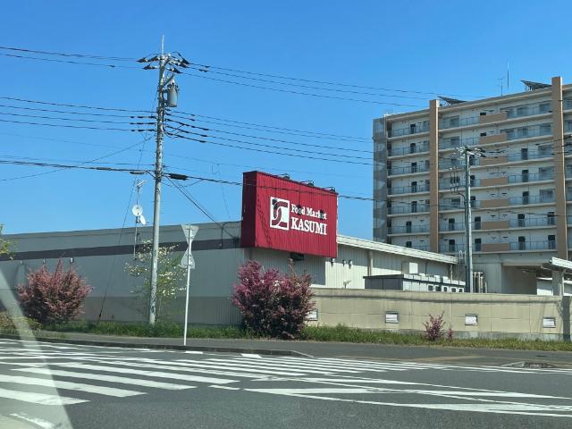 カスミ柏たなか駅前店：399m