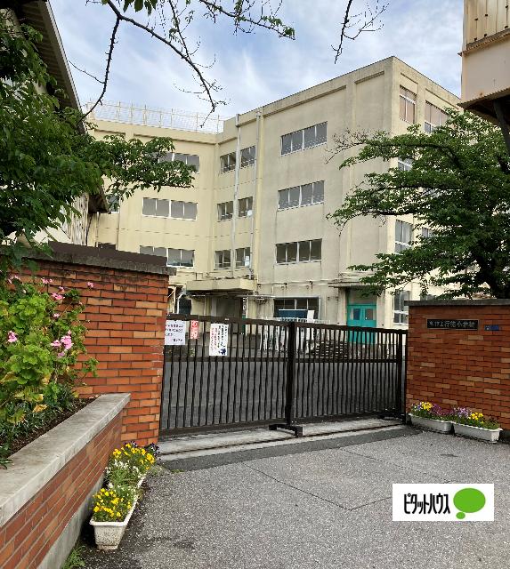 市川市立行徳小学校：1204m