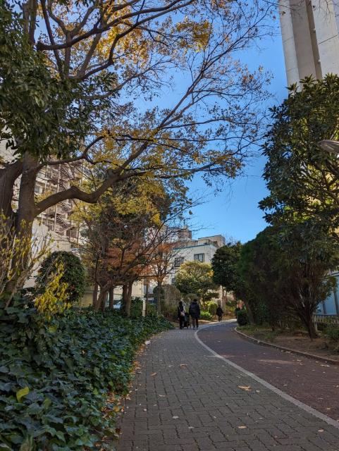 大島緑道公園：223m