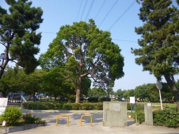 東海面公園：430m