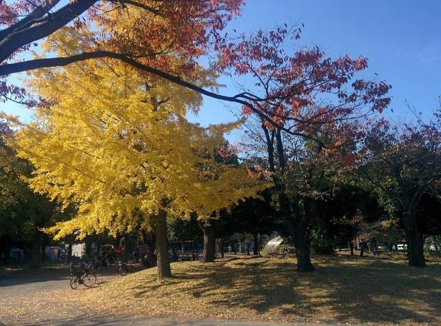 神奈川公園：496m