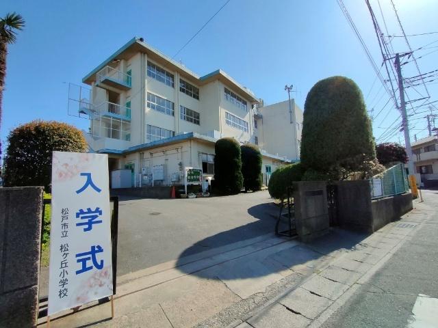 松戸市立松ケ丘小学校：909m
