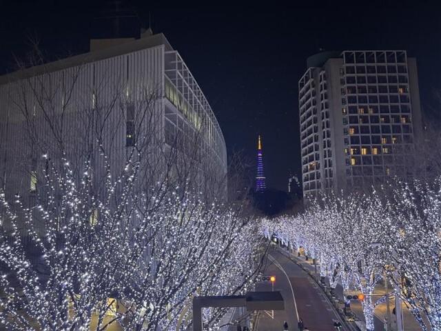 けやき坂：524m