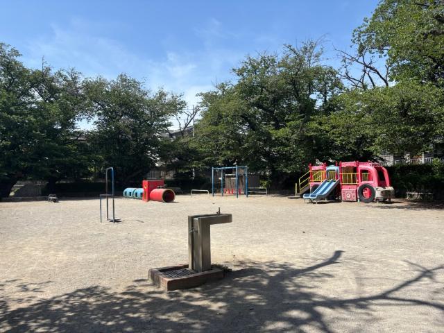 葉根木公園：90m