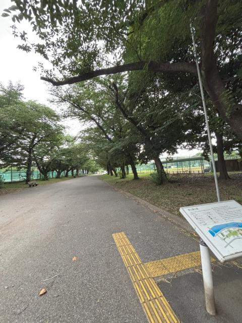 東白鬚公園：839m