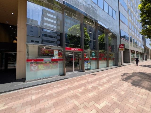 スギ薬局新川一丁目店：399m