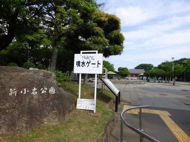 新小岩公園：768m