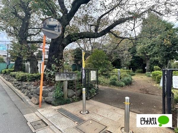 十条野鳥の森緑地：567m