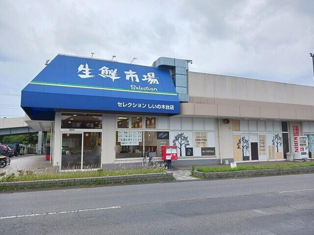 セレクション：368m
