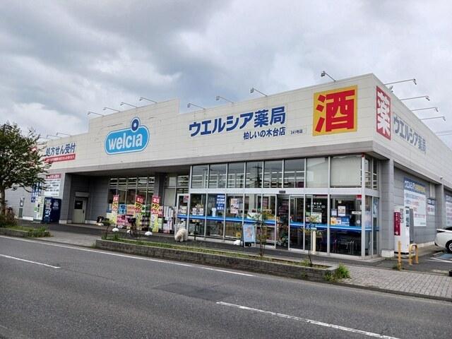 ウェルシア：655m