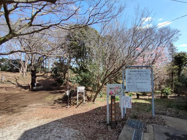 芝山東緑地：1465m