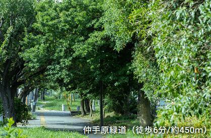 仲手原緑道：325m