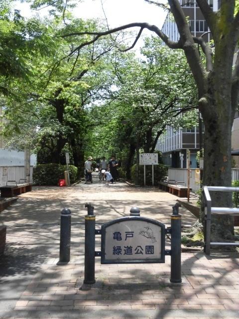 亀戸緑道公園：693m