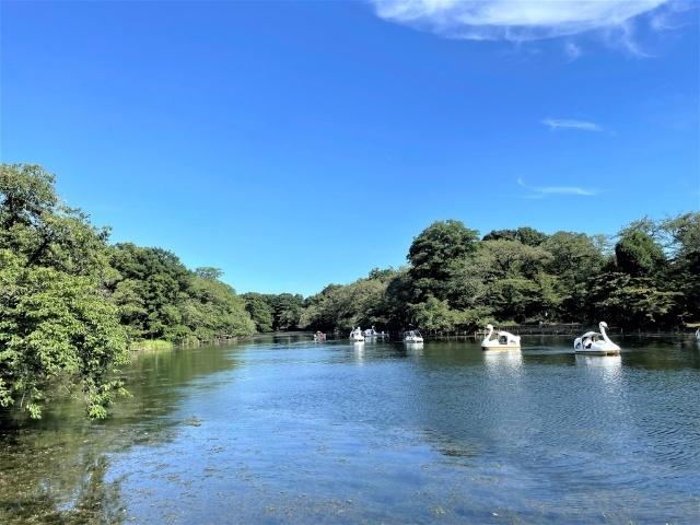 井の頭恩賜公園：685m
