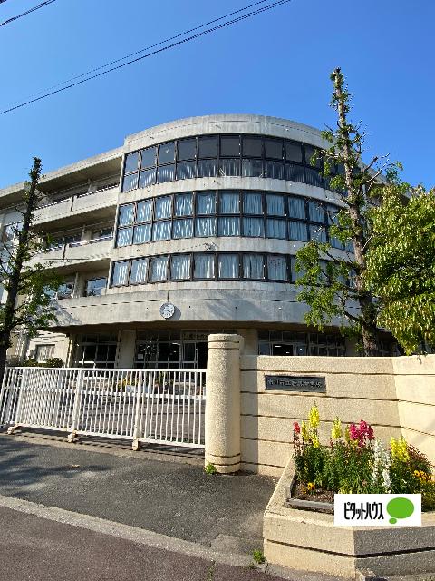市川市立妙典中学校：589m