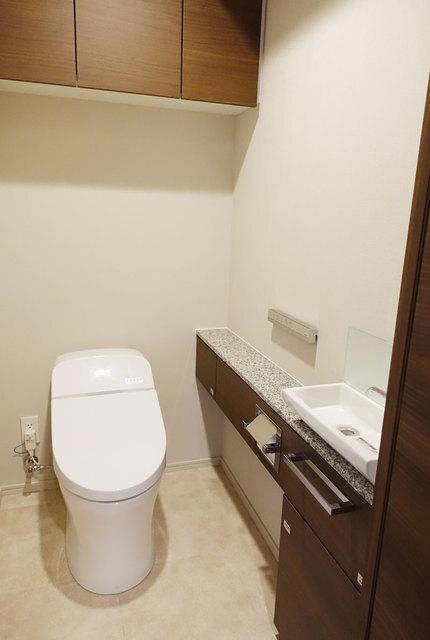 ライトテラス世田谷砧（207） 部屋画像