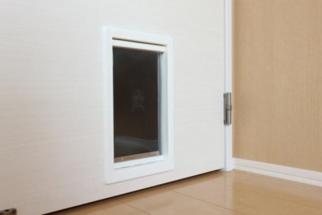 キャトルセゾン　Ｂ（103） 部屋画像