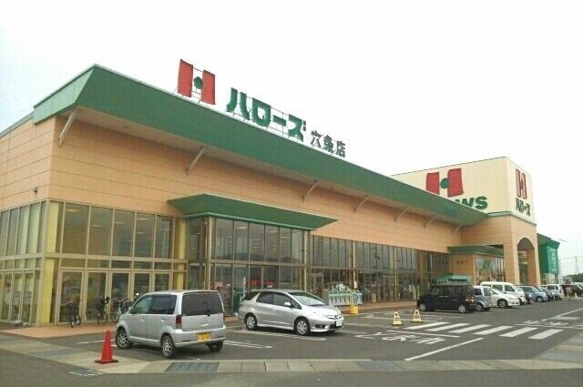 ハローズ六条店さん：1000m