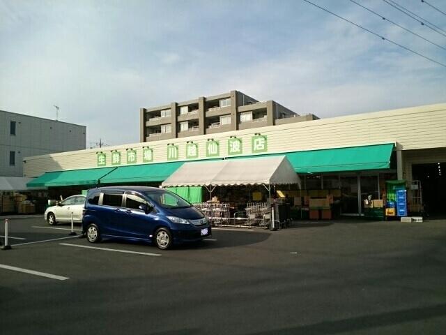 生鮮市場川越仙波店：450m
