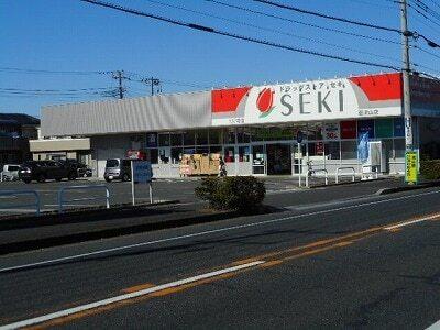 ドラッグストアセキ南流山店：240m