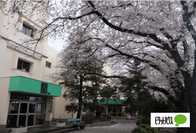 千葉市立緑町中学校：540m