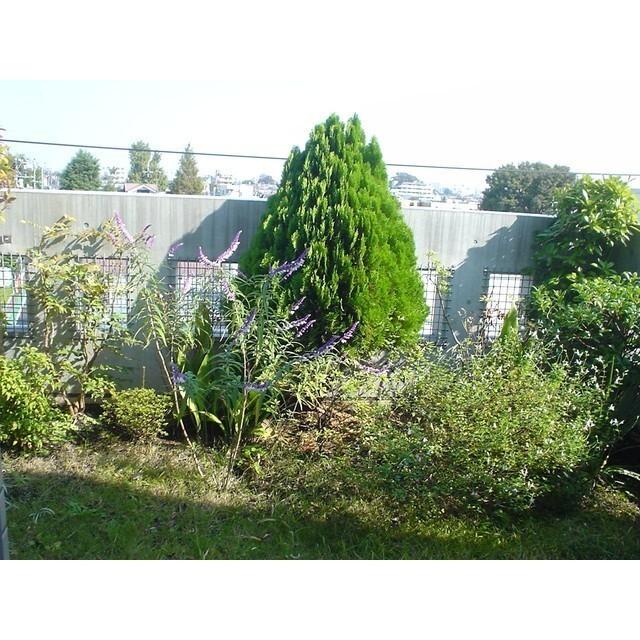 Ｖｅｒｄｅ　ｐａｔｉｏ（202） 物件画像