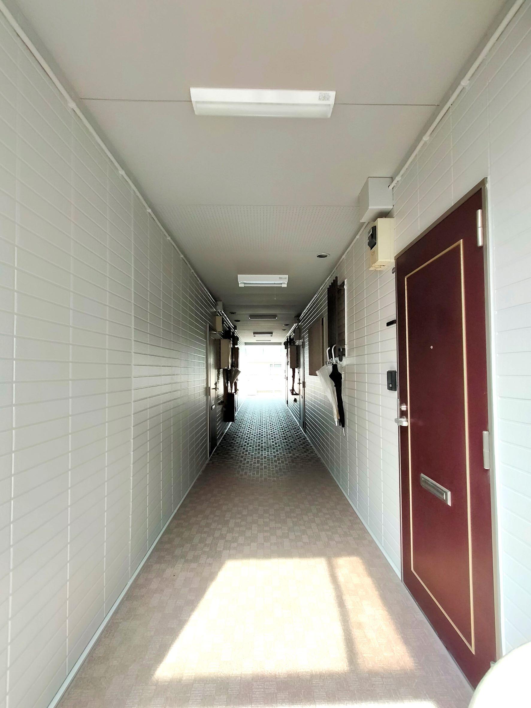 フミエール柏（0204） 共有部分