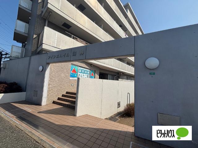 アインスハイム海神（0503） エントランス