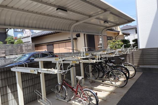 Ｓｕｎ Ｈｅｉｇｈｔｓ（307） その他