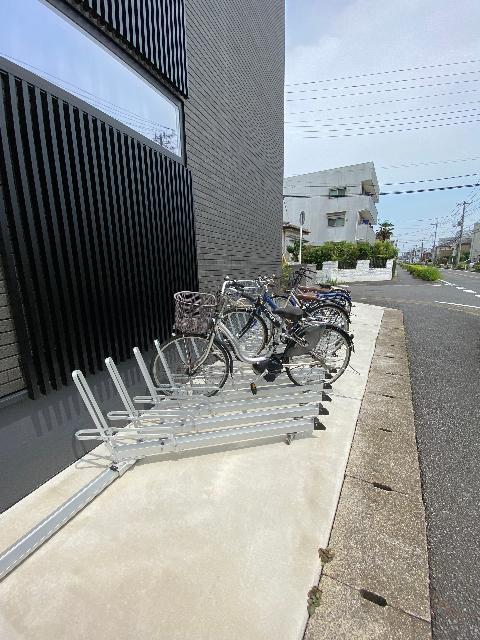 Ａｎｅｍｏｉ（0202） その他