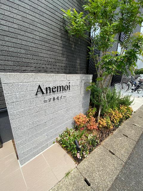 Ａｎｅｍｏｉ（0202） その他