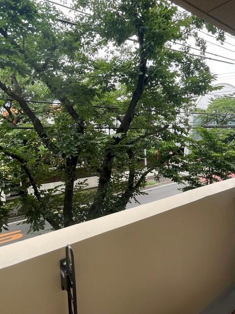 Cozy Court 大泉学園（203） 物件画像