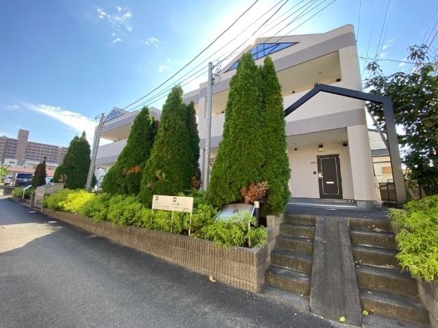 Ｗｅｌｌｎｅｓｓ　Ｉｓｌａｎｄ　Ｔ（0101） 外観