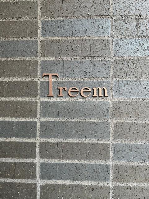 Ｔｒｅｅｍ（0413） その他