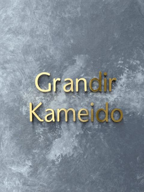 Ｇｒａｎｄｉｒ　Ｋａｍｅｉｄｏ（0301） 物件画像