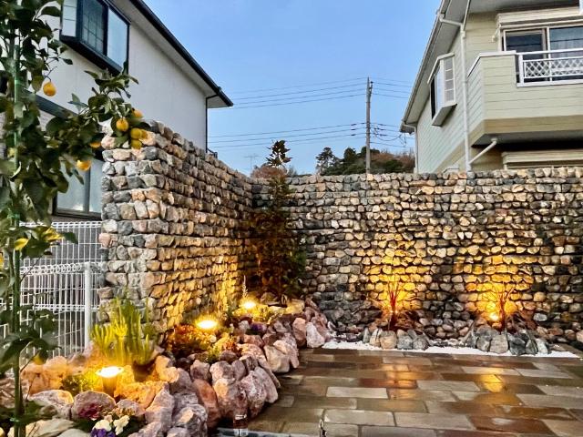 アンシャンテ（0101） その他